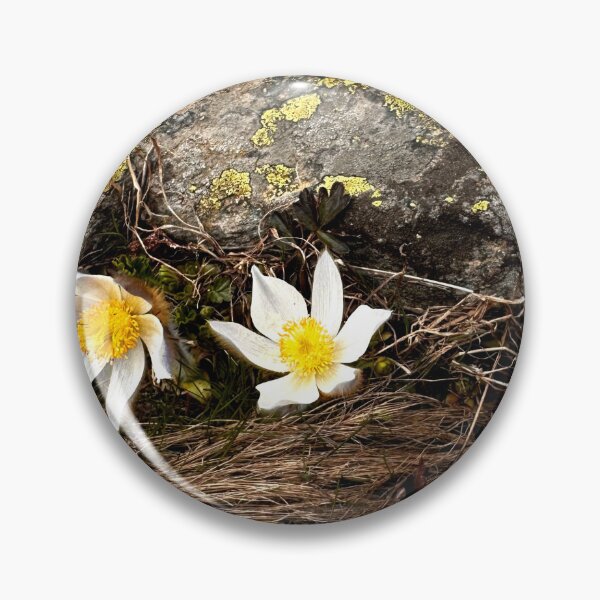 Item preview, Alpine flowers Switzerland designed and sold by nikawanders.
