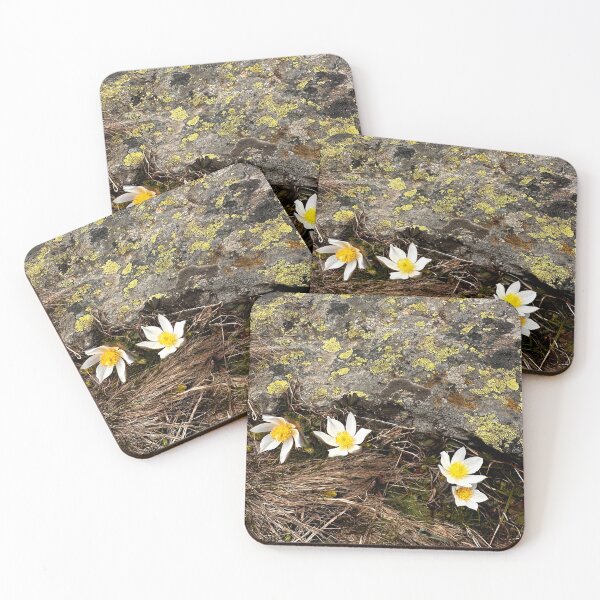 Item preview, Alpine flowers Switzerland designed and sold by nikawanders.