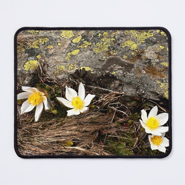 Item preview, Alpine flowers Switzerland designed and sold by nikawanders.