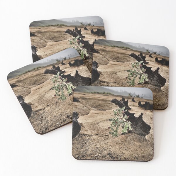 Item preview, Fragile vegetation amidst volcanic ash designed and sold by franck380.
