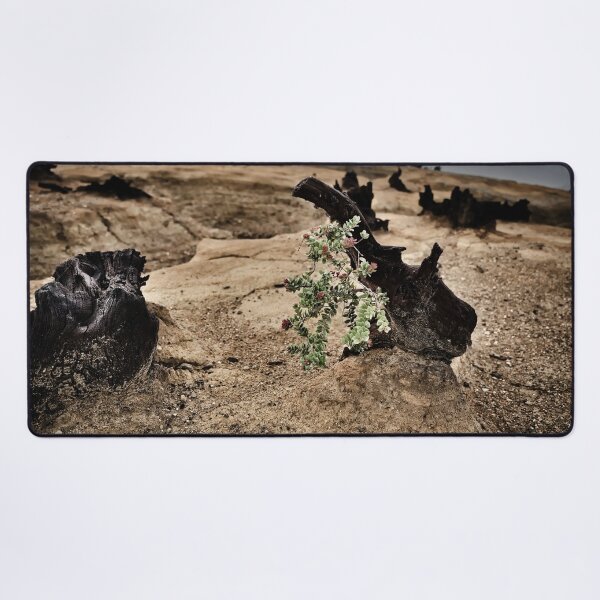 Item preview, Fragile vegetation amidst volcanic ash designed and sold by franck380.