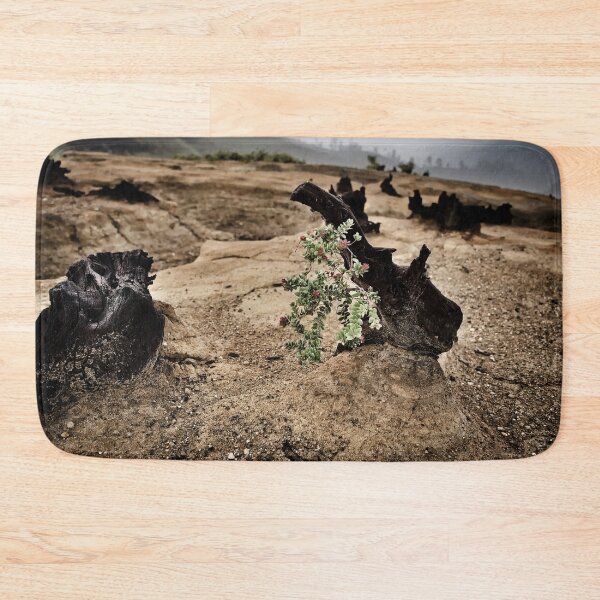 Item preview, Fragile vegetation amidst volcanic ash designed and sold by franck380.