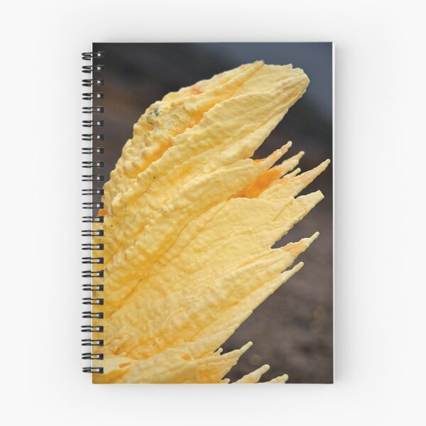 Item preview, Organic form born from the acidic fumaroles of Ijen designed and sold by franck380.