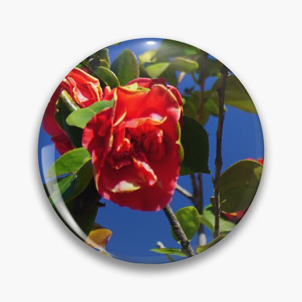 Item preview, Camellia Switzerland designed and sold by nikawanders.