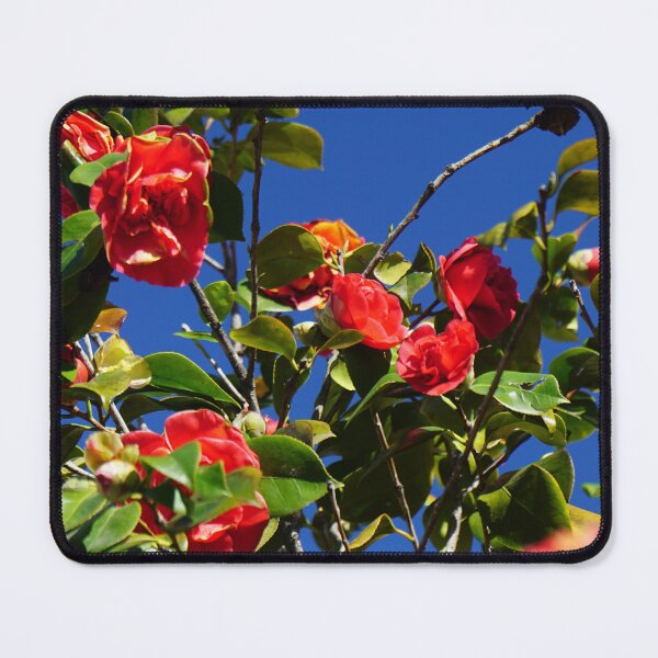 Item preview, Camellia Switzerland designed and sold by nikawanders.