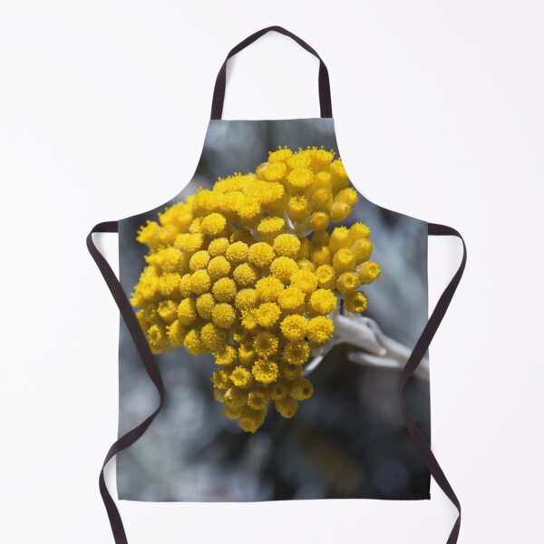 Item preview, Gozo: Silver Ragwort designed and sold by Kasia Design.