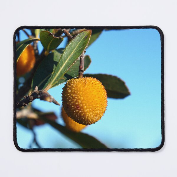 Item preview, Arbutus unedo strawberry tree designed and sold by nikawanders.