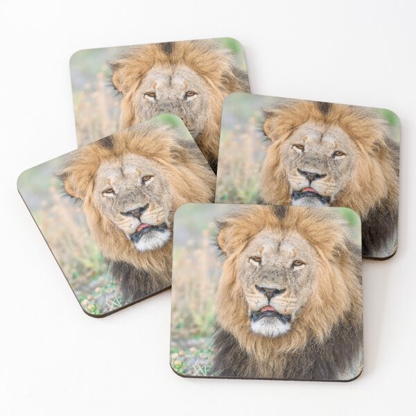 Item preview, Waziba, Lion of Savuti, Dominant Male Portrait designed and sold by DavideAntoniani.