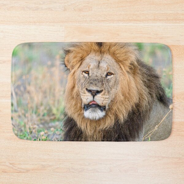 Item preview, Waziba, Lion of Savuti, Dominant Male Portrait designed and sold by DavideAntoniani.