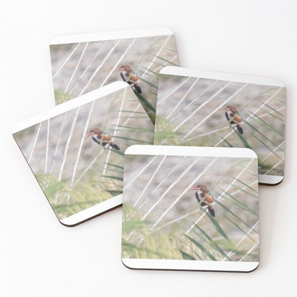 Item preview, White Throated Kingfisher designed and sold by LaurenTucker.
