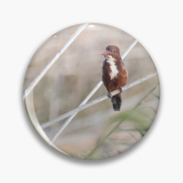 Item preview, White Throated Kingfisher designed and sold by LaurenTucker.
