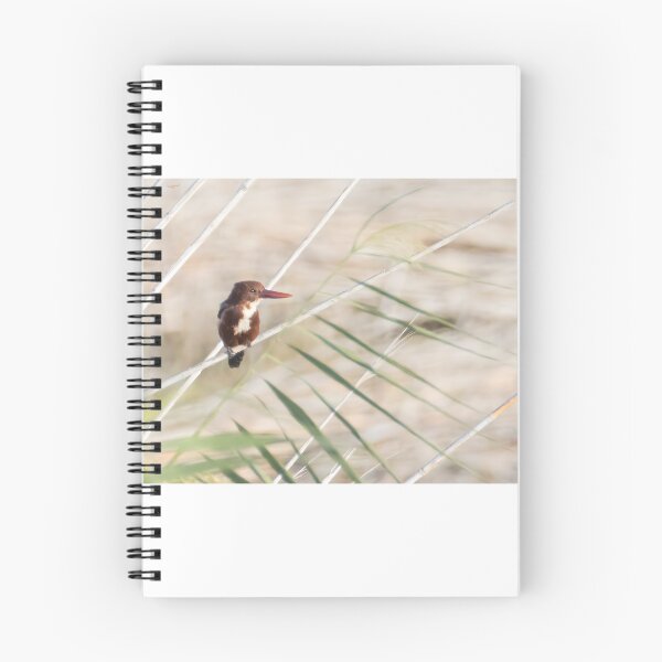 Item preview, White Throated Kingfisher designed and sold by LaurenTucker.