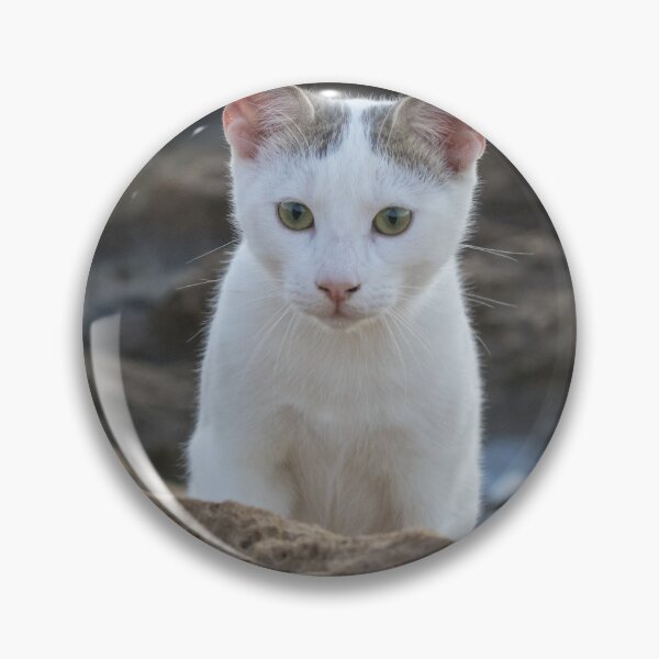 Item preview, Cyprus Cats designed and sold by LaurenTucker.