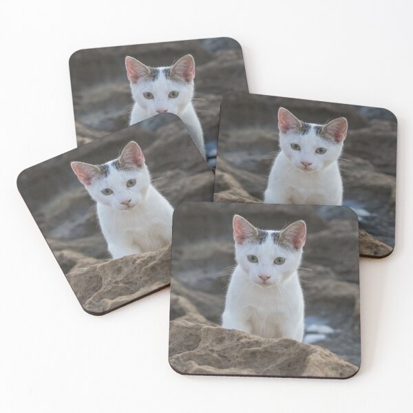 Item preview, Cyprus Cats designed and sold by LaurenTucker.