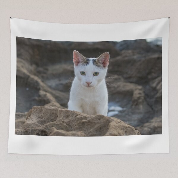Item preview, Cyprus Cats designed and sold by LaurenTucker.