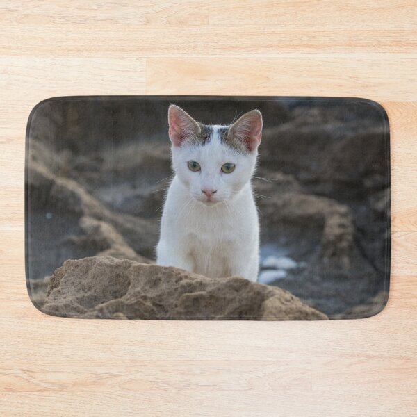Item preview, Cyprus Cats designed and sold by LaurenTucker.