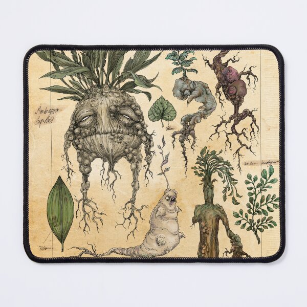 Item preview, Mandragora Radix Original Mandrake Illustration designed and sold by zsofiadome_art.