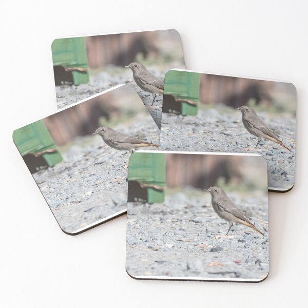 Item preview, Black Redstart designed and sold by LaurenTucker.