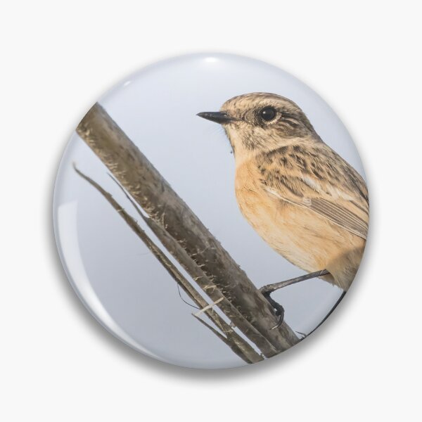 Item preview, European Stonechat designed and sold by LaurenTucker.