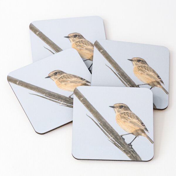 Item preview, European Stonechat designed and sold by LaurenTucker.