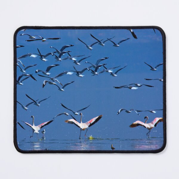 Item preview, Flamingos in Flight Lake Nakuru National Park Kenya Africa. designed and sold by PhotosEcosse.