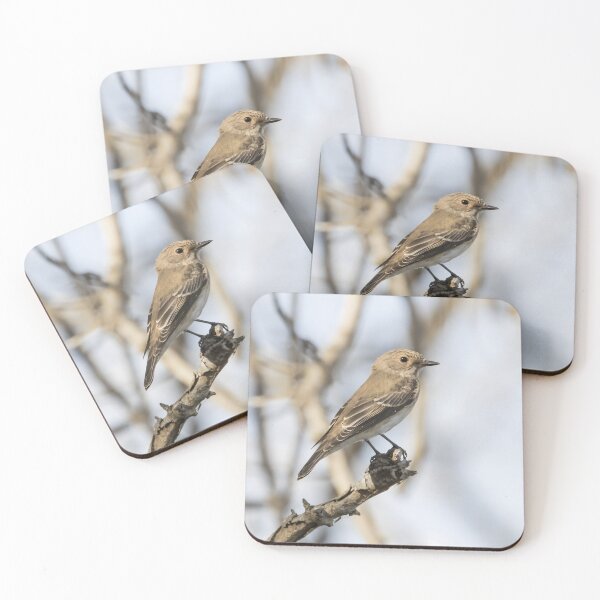 Item preview, Spotted Flycatcher designed and sold by LaurenTucker.