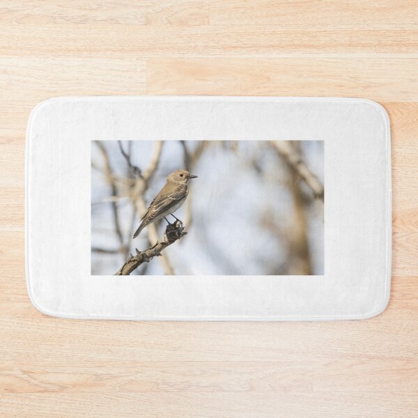 Item preview, Spotted Flycatcher designed and sold by LaurenTucker.