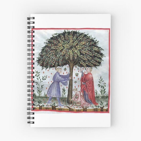 Item preview, A 14. century hand drawing showing a man and women shaking a fruittress designed and sold by Postertale.