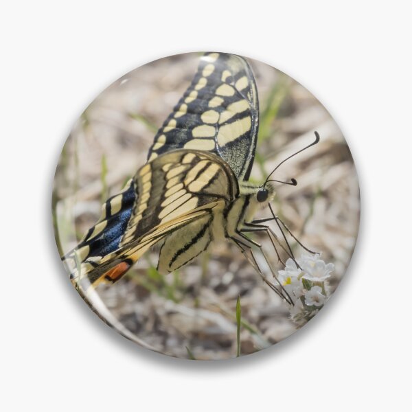 Item preview, Swallowtail designed and sold by LaurenTucker.