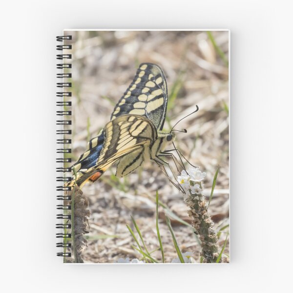 Item preview, Swallowtail designed and sold by LaurenTucker.
