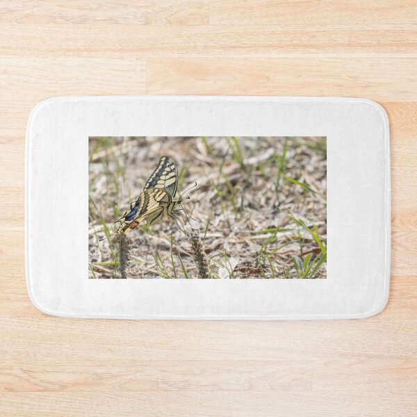 Item preview, Swallowtail designed and sold by LaurenTucker.