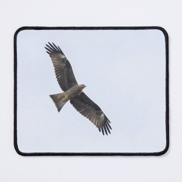 Item preview, Black Kite designed and sold by LaurenTucker.