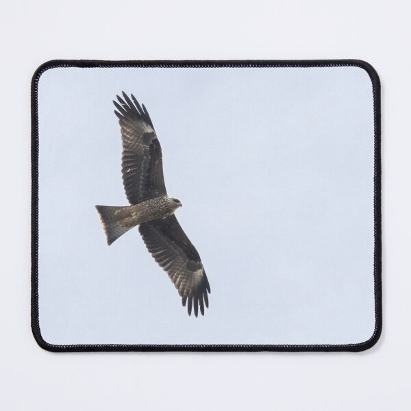 Item preview, Black Kite designed and sold by LaurenTucker.