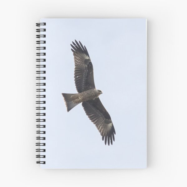 Item preview, Black Kite designed and sold by LaurenTucker.