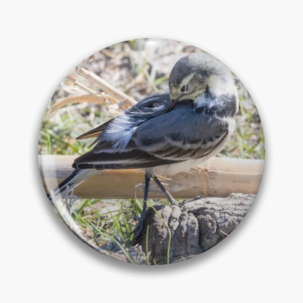 Item preview, Pied Wagtail designed and sold by LaurenTucker.