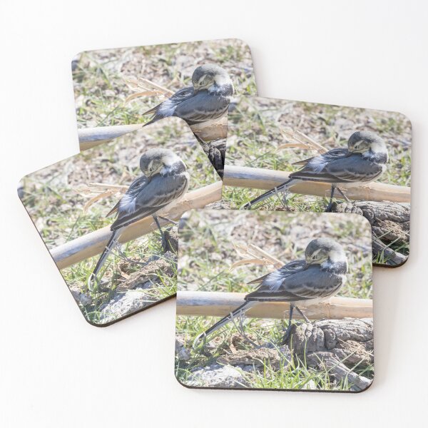 Item preview, Pied Wagtail designed and sold by LaurenTucker.