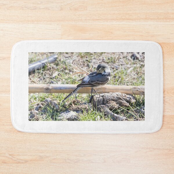 Item preview, Pied Wagtail designed and sold by LaurenTucker.