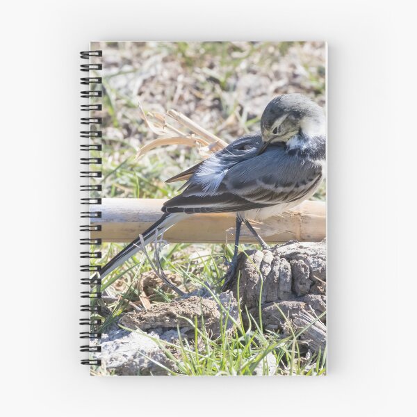 Item preview, Pied Wagtail designed and sold by LaurenTucker.
