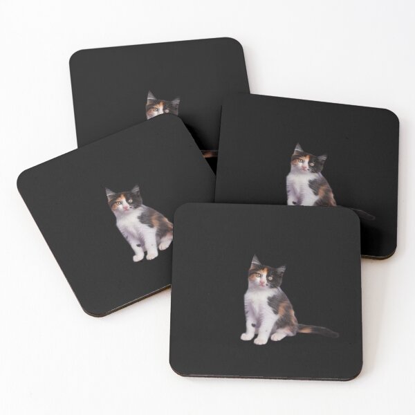Item preview, Chlamydia Survivor Cat Meme for Men Adult Humor designed and sold by MonsterBuddiess.