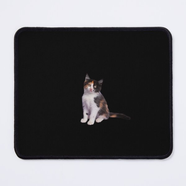 Item preview, Chlamydia Survivor Cat Meme for Men Adult Humor designed and sold by MonsterBuddiess.