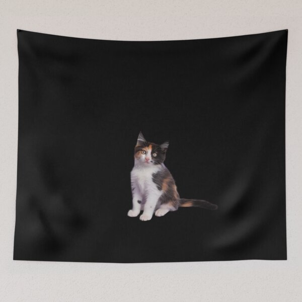 Item preview, Chlamydia Survivor Cat Meme for Men Adult Humor designed and sold by MonsterBuddiess.
