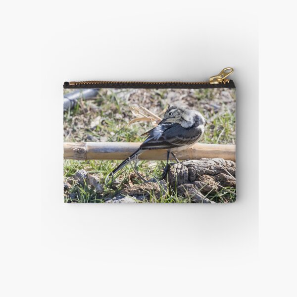 Item preview, Pied Wagtail designed and sold by LaurenTucker.
