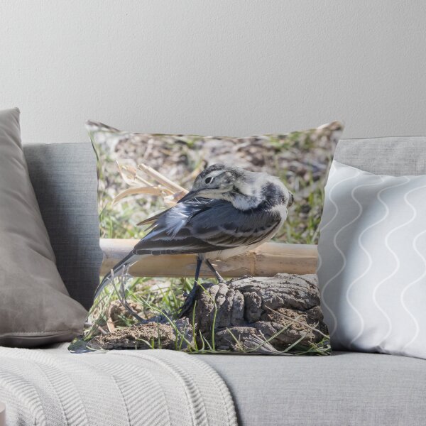 Item preview, Pied Wagtail designed and sold by LaurenTucker.
