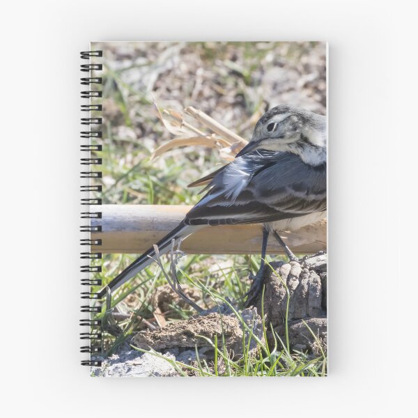 Item preview, Pied Wagtail designed and sold by LaurenTucker.