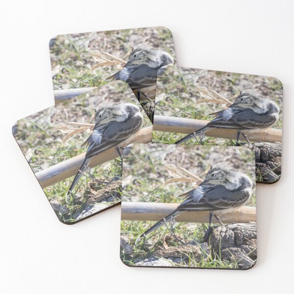 Item preview, Pied Wagtail designed and sold by LaurenTucker.
