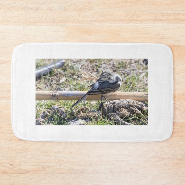 Item preview, Pied Wagtail designed and sold by LaurenTucker.