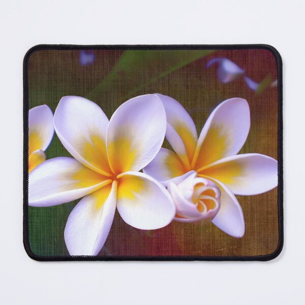 Item preview, Fragrant Frangipani designed and sold by Kasia Design.