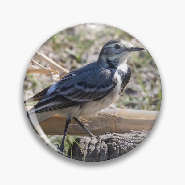 Item preview, Pied Wagtail designed and sold by LaurenTucker.