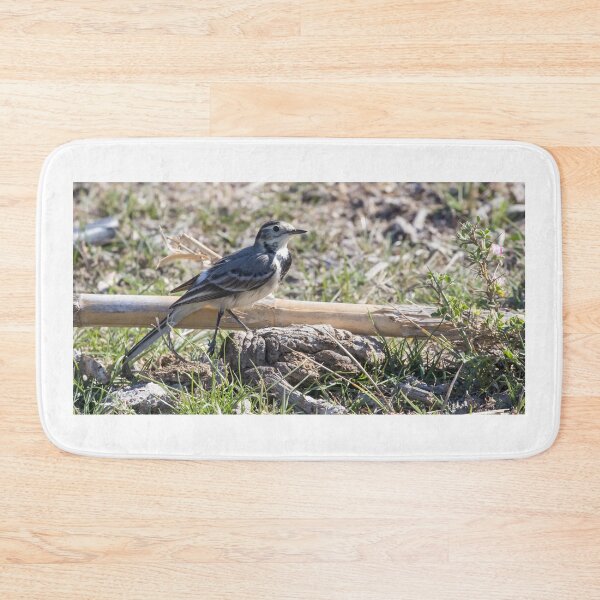 Item preview, Pied Wagtail designed and sold by LaurenTucker.