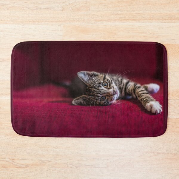 Item preview, Cute tabby kitten, lying down, wine red, photograph by elbvue designed and sold by elbvue.